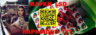 apvp Лесосибирск