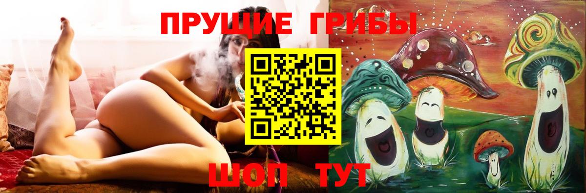Гусев  цены наркотик  Вход с VPN  Псилоцибиновые грибы прущие грибы  Галлюциногенные грибы ЛСД 